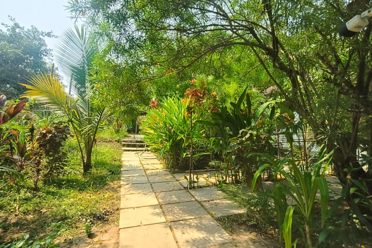 About Secret Hill Patnem