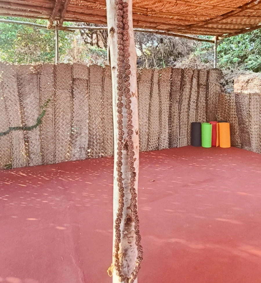 Drop-In Yoga & Meditation classes