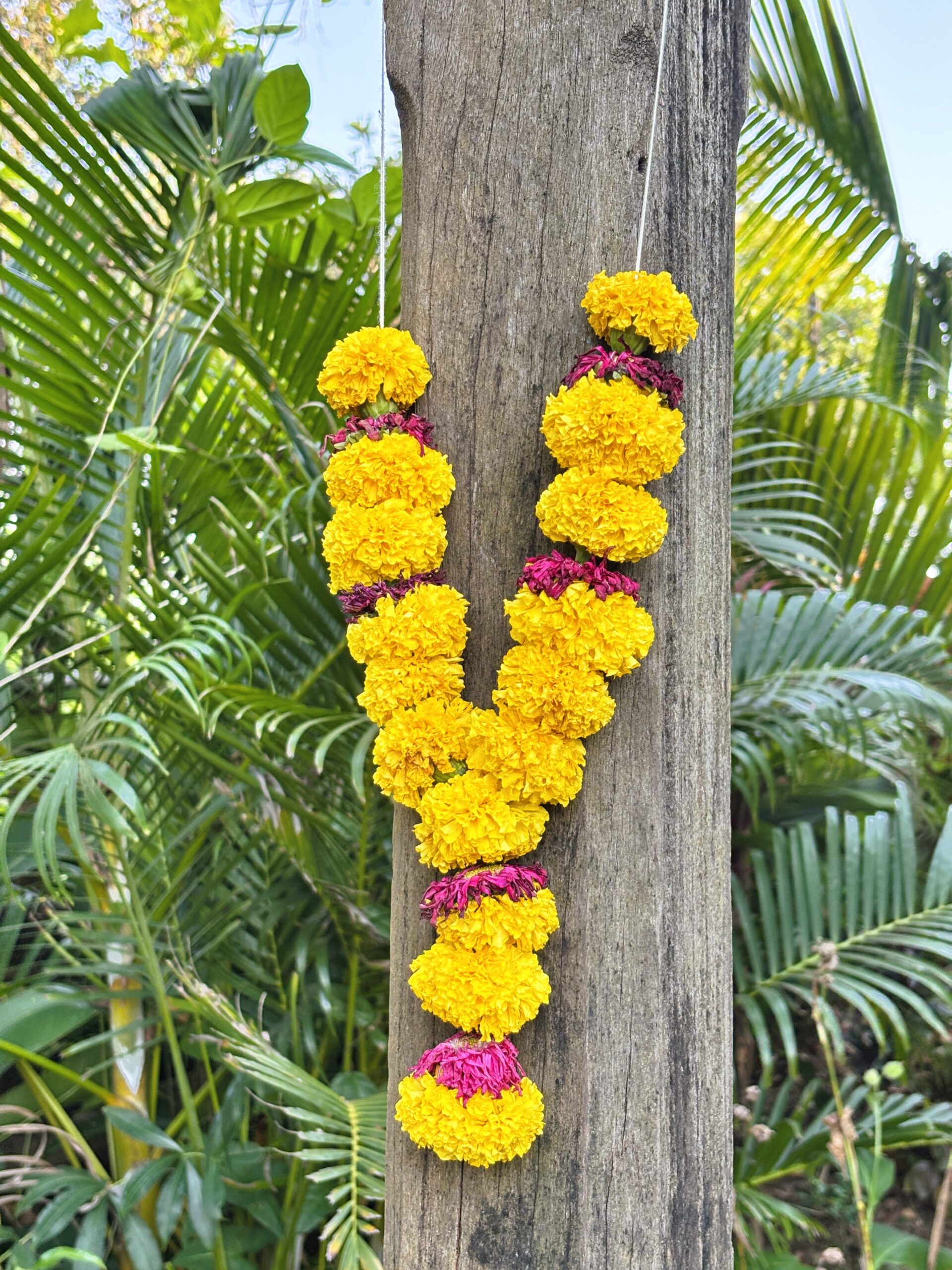 Drop-In Yoga & Meditation classes