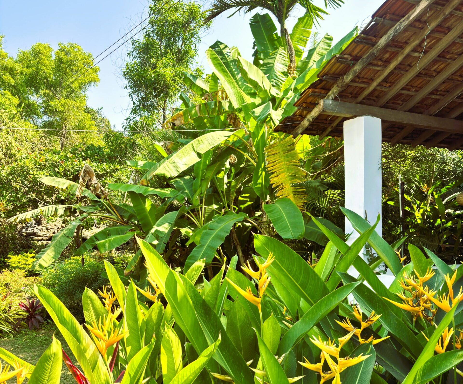 About Secret Hill Patnem